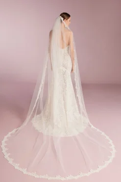 Velo in Tulle