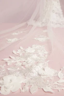 Velo in Tulle
